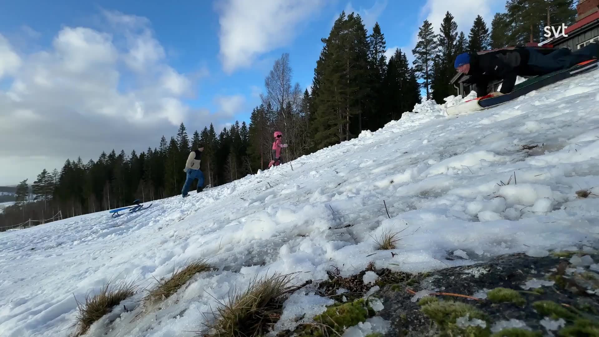 Här koras mästarna i pulkaåkning i Sunne